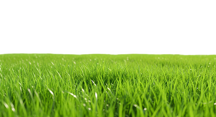 Lush Green Grass: A close-up shot captures the vibrant detail of a field of vivid, verdant grass, presenting a fresh and natural perspective.