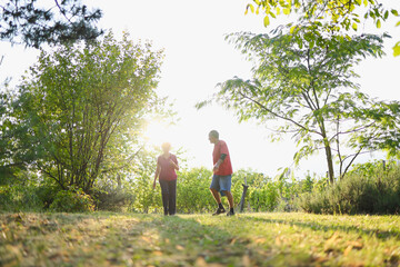 Elderly people picking apples from tree, man holding bucket and reaching for apples. Sunny day at...