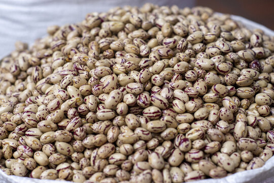Large sack of speckled pinto beans at a market