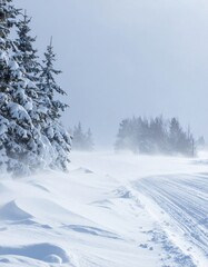 Winter Scene with Snow Covered Trees and Snowy Landscape in Cold Weather