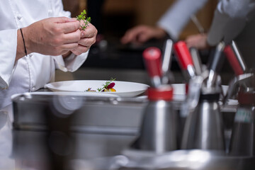Main d’un chef étoilé en pleine préparation culinaire, dressant un plat gastronomique avec...