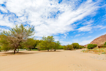 Arid landscape in the Richtersveld National Park