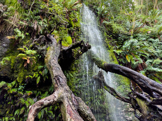 View of Mysterious mountain forest waterfall