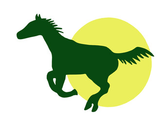 Pferd - Freund - Sonne - Pferdeflüsterer © Studio M. Brix