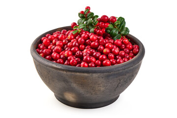 Lingonberries in Bowl, Vaccinium vitisidaea, isolated on white background.