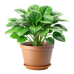 Lush green potted plant isolated on transparent background