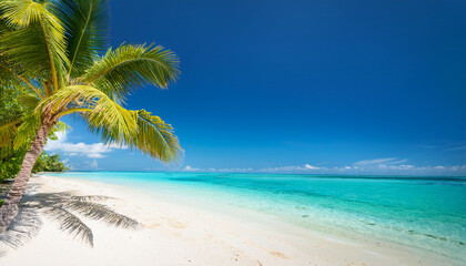 Fototapeta premium vibrant tropical beach scene sunny palm tree pristine white sand turquoise water under clear blue sky natural paradise of coastal beauty