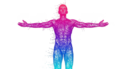 A digital wireframe of a human body isolated on transparent background