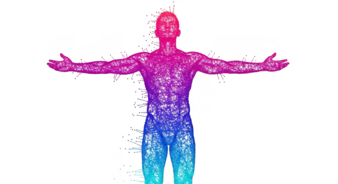 A digital wireframe of a human body isolated on transparent background