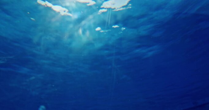 The sunlight refracts through the sea surface, creating a unique and beautiful scene in the sea.