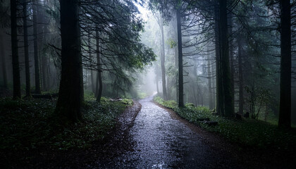 Fototapeta premium dark and mysterious forest path fading into bright light with dense trees and heavy rainfall creating a somber and eerie atmosphere