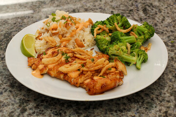 Closeup of Prepared Dish with Broccoli, Rice, and Marinated Sliced Chicken Cutlets