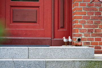 Solid stone steps and red door with seagull statues by brick wall