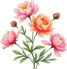 Vector art of a beautiful watercolor painting of a bouquet of pink and orange peonies with green leaves and buds, isolated on a, showcasing delicate petals and naturalistic style