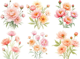 Vector art of a collection of six delicate watercolor floral arrangements featuring soft pink and peach peonies and roses, perfect for wedding invitations, greeting cards, and romantic designs