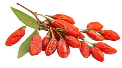 Group of Goji Berries or Wolfberry Isolated on Transparent Background