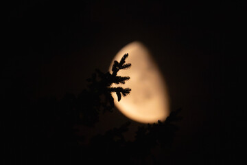 Halbmond im Hintergrund © Dominik Rueß