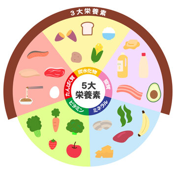 5大栄養素とかわいい食材のイラスト図解