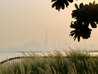 faded Burj khalifa skyline silhouette at golden hour in Dubai with trees and fountain grass in...