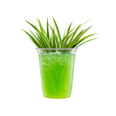 Refreshing Green Drink with Grass Garnish in Plastic Cup