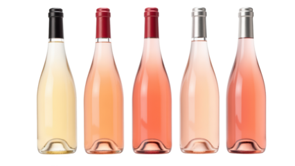 Elegant wine bottles in various shades of rose, showcasing gradient of colors from pale to deep pink. Perfect for any celebration or gathering