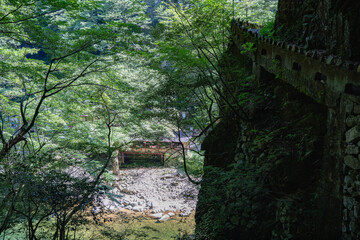 夏の三段峡 広島県安芸太田町