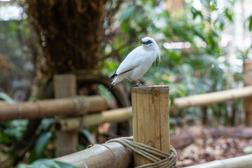 Alfred-Brehm Haus Tierpark Berlin