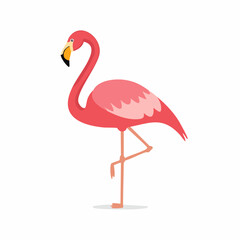 Fototapeta premium Pink flamingo, stylized illustration, standing profile view.