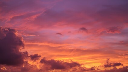 Fototapeta premium sunset in the forest