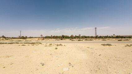 Desert Landscape with Palm Trees and Power Lines