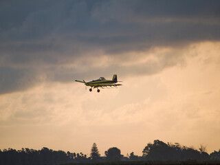 airplane in the sunset