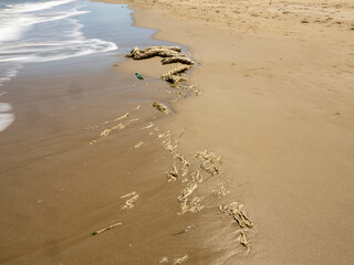  Old rope washed ashore on a sandy beach, symbol of marine pollution and waste in nature.
