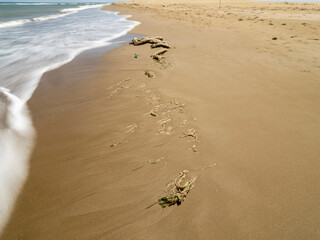  Old rope washed ashore on a sandy beach, symbol of marine pollution and waste in nature.
