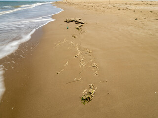 footprints in the sand