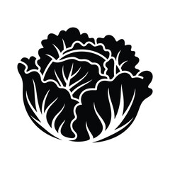 Black and white silhouette of a fresh cabbage head