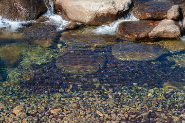 view of the flowing stream in the valley