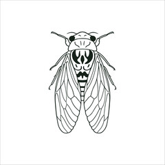 Cicada insect colored hand drawn illustration artwork
