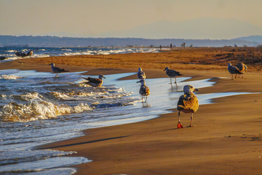 Waves in Port La Nouvelle in the South of France. Mediterranean beach at the end of the day in the Aude department.
