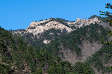 rocky mountain peak on the greenery forest