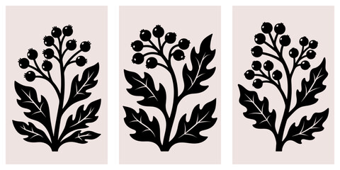 Botanical silhouette with berries and leaves. Minimal black floral design for posters, prints, packaging, and elegant decorative projects.