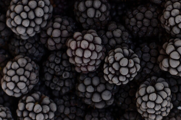 Close-Up of Frozen Blackberries with Frost Crystals