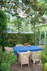 Jardin d'hiver, Fauteuil en rotin, Mobile d'oiseau, Jardin botanique Félix Stamm, Thaygen, Suisse