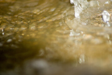 Abstract Nature of Water and Leaves Macro Texture