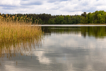 Wasserlandschaft am Röddelinsee, Templin, Brandenburg