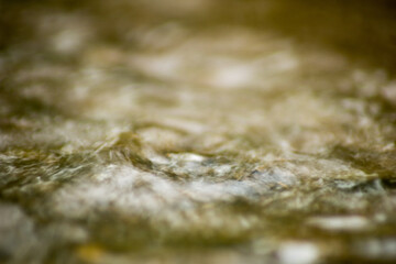 Abstract Nature of Water and Leaves Macro Texture