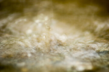 Abstract Nature of Water and Leaves Macro Texture