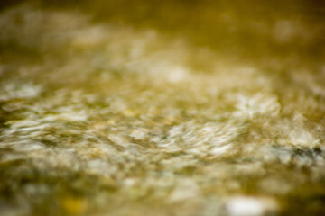 Abstract Nature of Water and Leaves Macro Texture