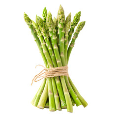 Vibrant Fresh Asparagus Bunch Isolated on White Background