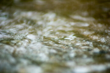 Abstract Nature of Water and Leaves Macro Texture