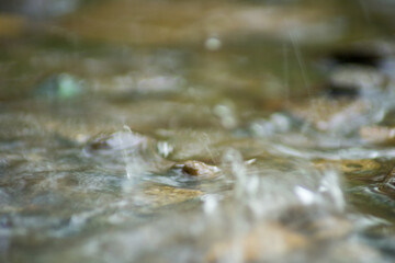 Abstract Nature of Water and Leaves Macro Texture